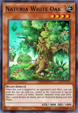 Naturia White Oak 「EN」
