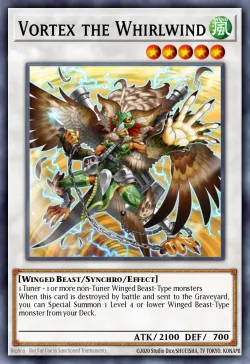 Vortex the Whirlwind 「EN」
