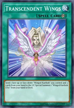 Transcendent Wings 「EN」