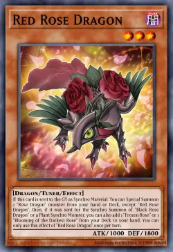 Red Rose Dragon 「EN」