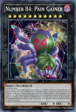 Number 84: Pain Gainer 「EN」