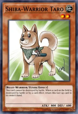 Shiba-Warrior Taro 「EN」