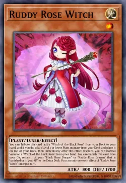 Ruddy Rose Witch 「EN」