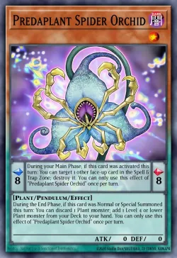 Predaplant Spider Orchid 「EN」