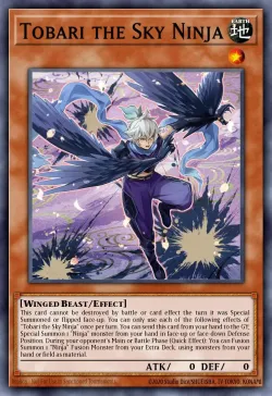 Tobari the Sky Ninja 「EN」