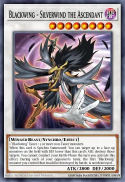 Blackwing - Silverwind the Ascendant 「EN」