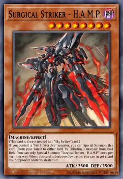 Surgical Striker - H.A.M.P. 「EN」