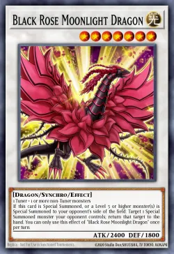 Black Rose Moonlight Dragon 「EN」