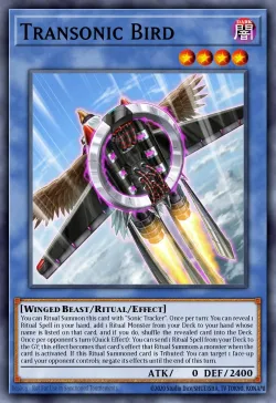 Transonic Bird 「EN」