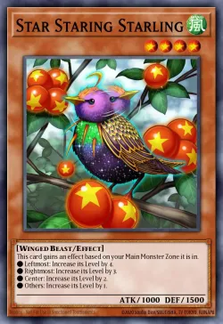 Star Staring Starling 「EN」