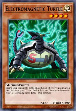 Electromagnetic Turtle 「EN」