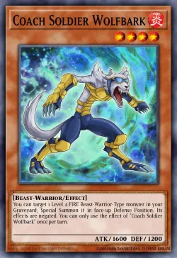 Coach Soldier Wolfbark 「EN」