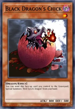 Black Dragon's Chick 「EN」