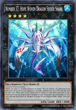 Number 37: Hope Woven Dragon Spider Shark 「EN」
