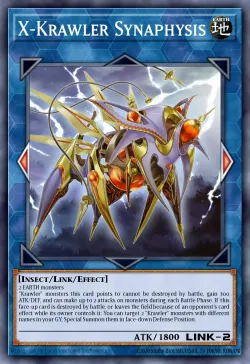 X-Krawler Synaphysis 「EN」