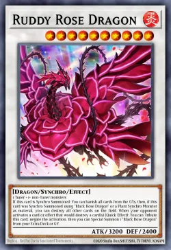 Ruddy Rose Dragon 「EN」