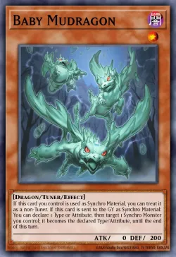 Baby Mudragon 「EN」