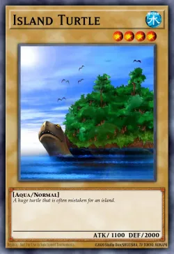Island Turtle 「EN」