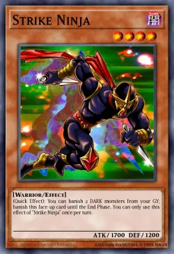 Strike Ninja 「EN」