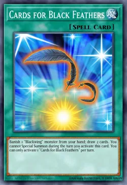 Cards for Black Feathers 「EN」