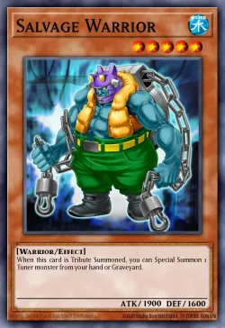 Salvage Warrior 「EN」