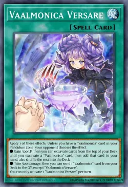 Vaalmonica Versare 「EN」