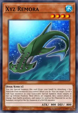 Xyz Remora 「EN」