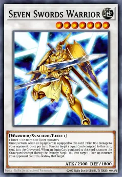 Seven Swords Warrior 「EN」