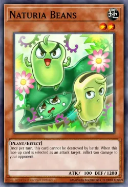 Naturia Beans 「EN」