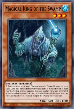 Sorcerer of the Swamp #EN024 · Yu-Gi-Oh!