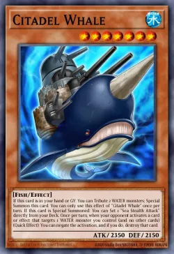 Citadel Whale 「EN」