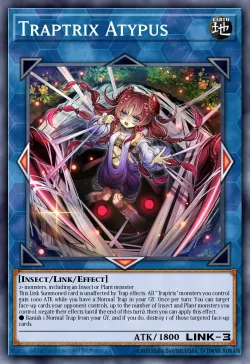 Traptrix Atypus 「EN」