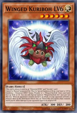 Winged Kuriboh LV6 「EN」