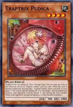 Traptrix Pudica 「EN」