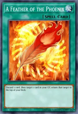 A Feather of the Phoenix 「EN」