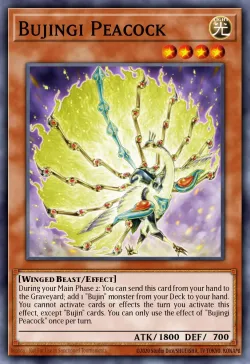 Bujingi Peacock 「EN」