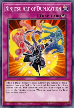 Ninjitsu Art of Duplication 「EN」