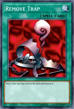 Remove Trap 「EN」