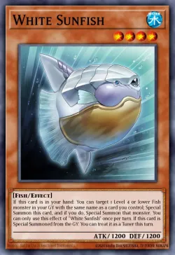 White Sunfish 「EN」