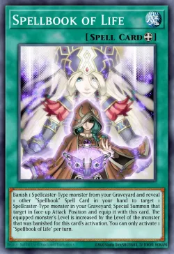 Spellbook of Life 「EN」