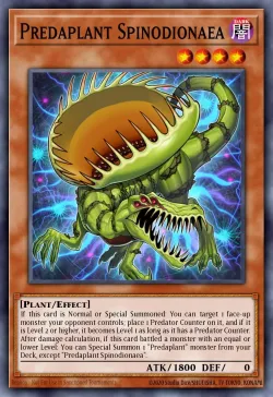 Predaplant Spinodionaea 「EN」