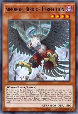 Simorgh, Bird of Perfection 「EN」