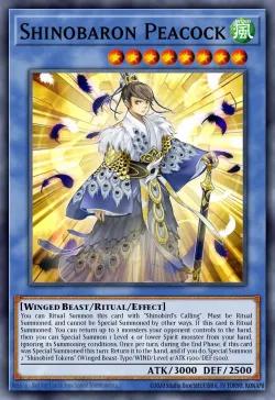 Shinobaron Peacock 「EN」