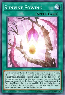 Sunvine Sowing 「EN」