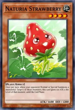 Naturia Strawberry 「EN」