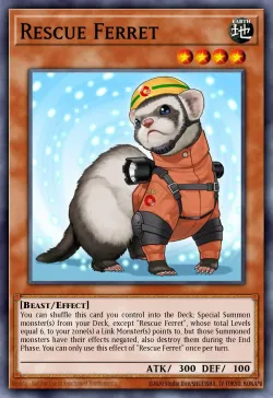 Rescue Ferret 「EN」