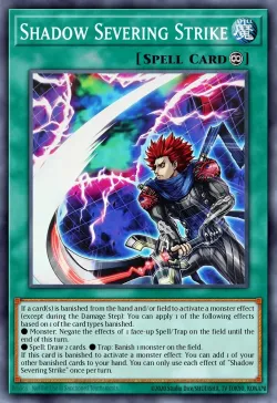 Shadow Severing Strike 「EN」