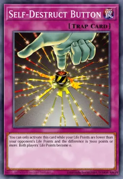 Self-Destruct Button 「EN」