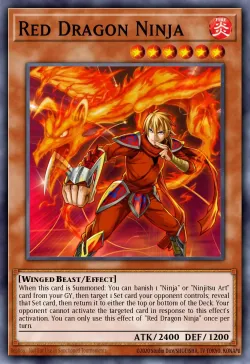 Red Dragon Ninja 「EN」