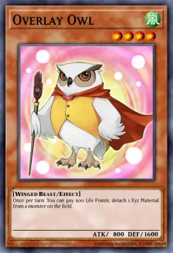 Overlay Owl 「EN」